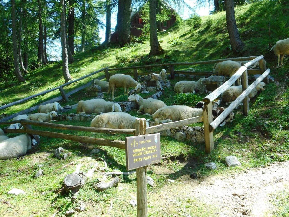 Erjavceva Mountain Hut At Vrsic Pass Kranjska Gora Exterior foto
